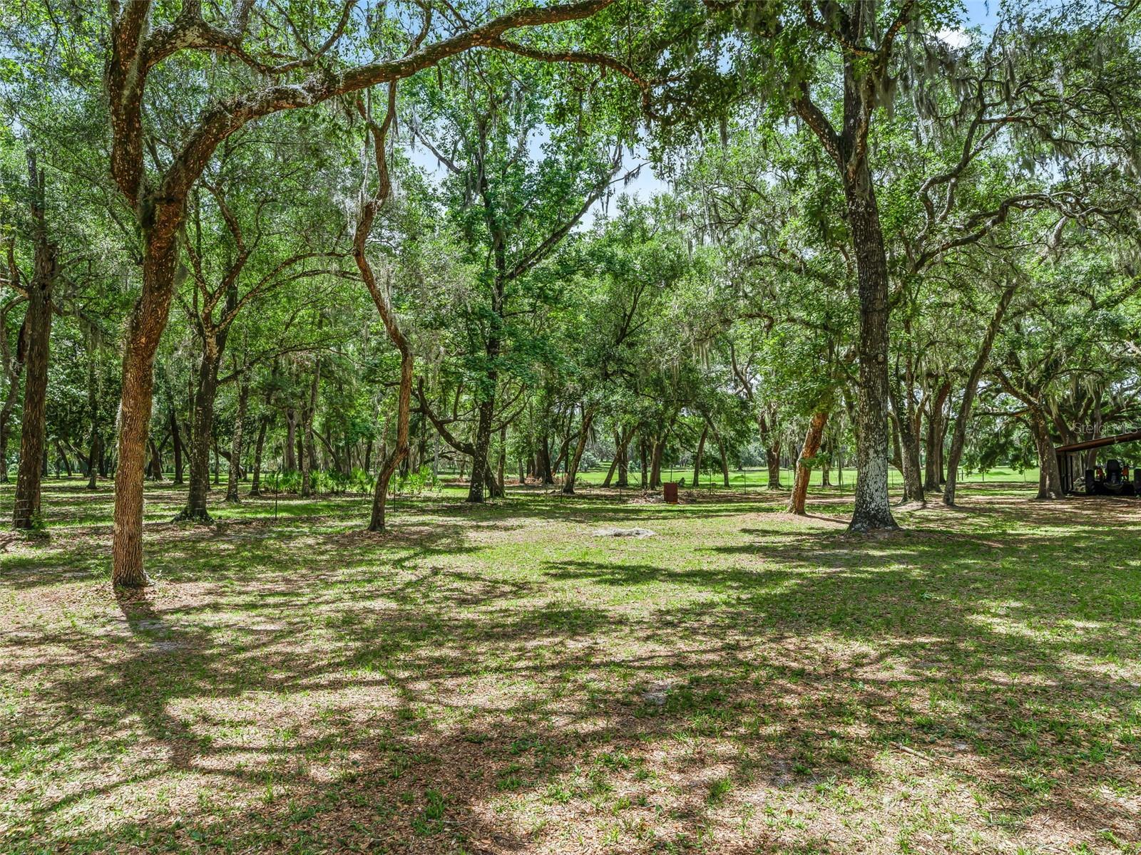 4801 County Road 575 Property Photo 45