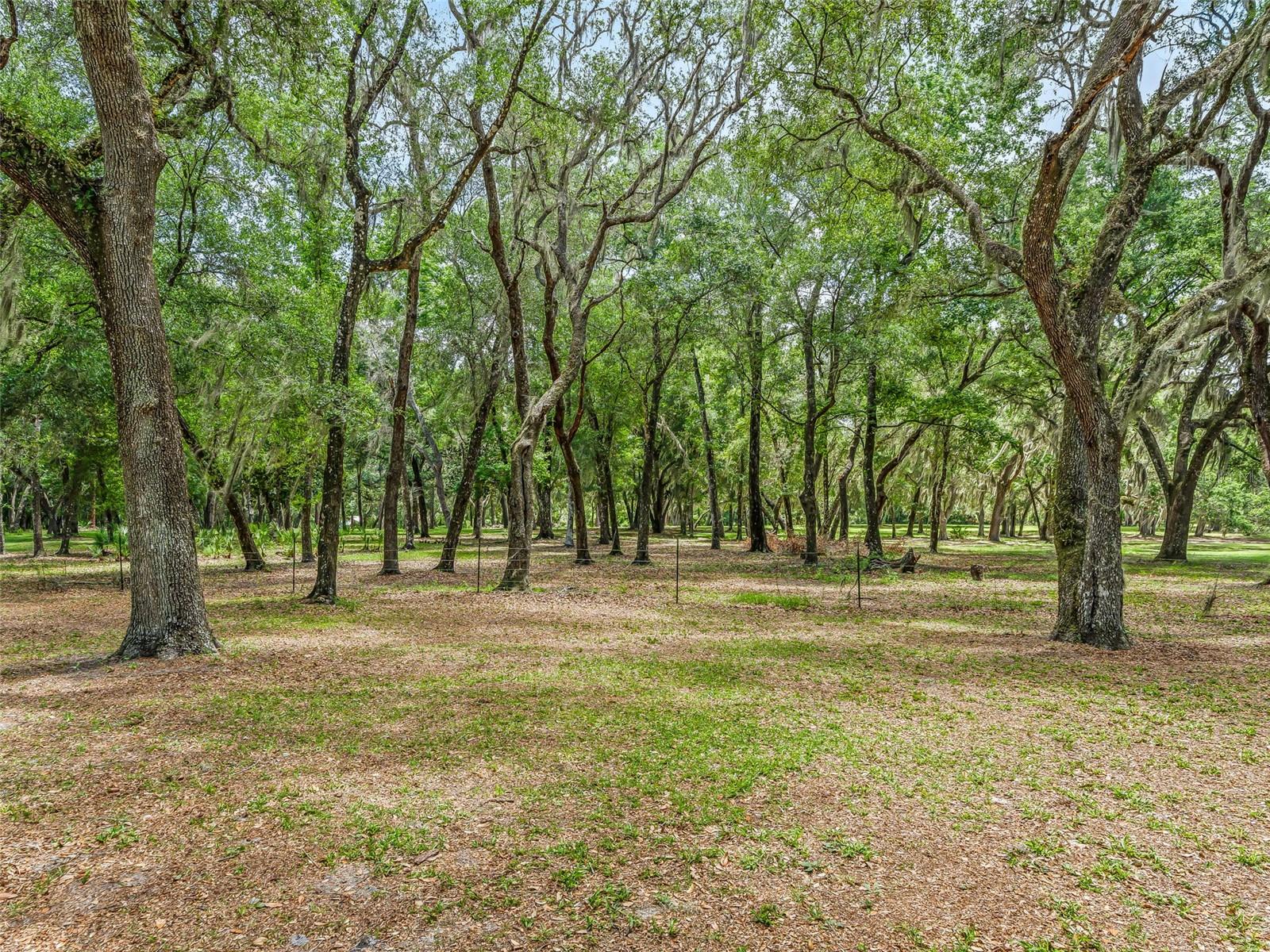 4801 County Road 575 Property Photo 46