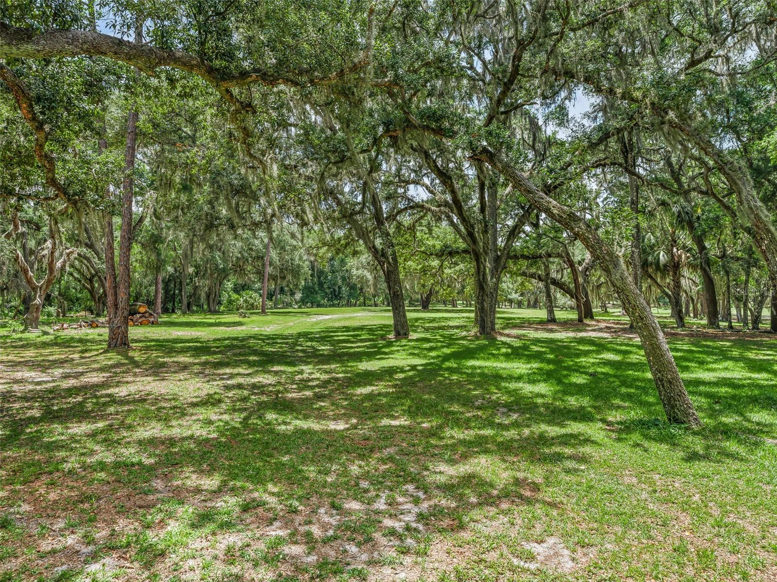 4801 County Road 575 Property Photo 47