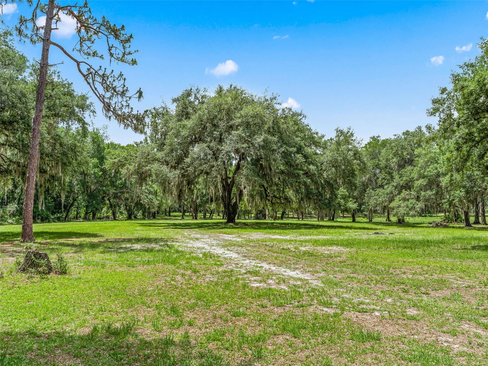 4801 County Road 575 Property Photo 48
