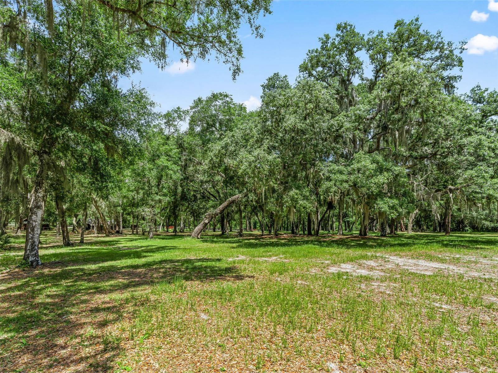 4801 County Road 575 Property Photo 49