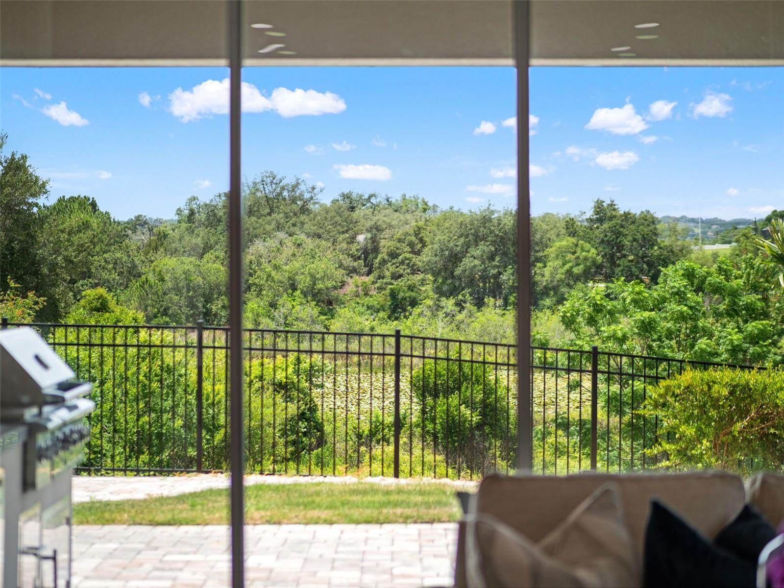 16049 Volterra Pt Property Photo 37