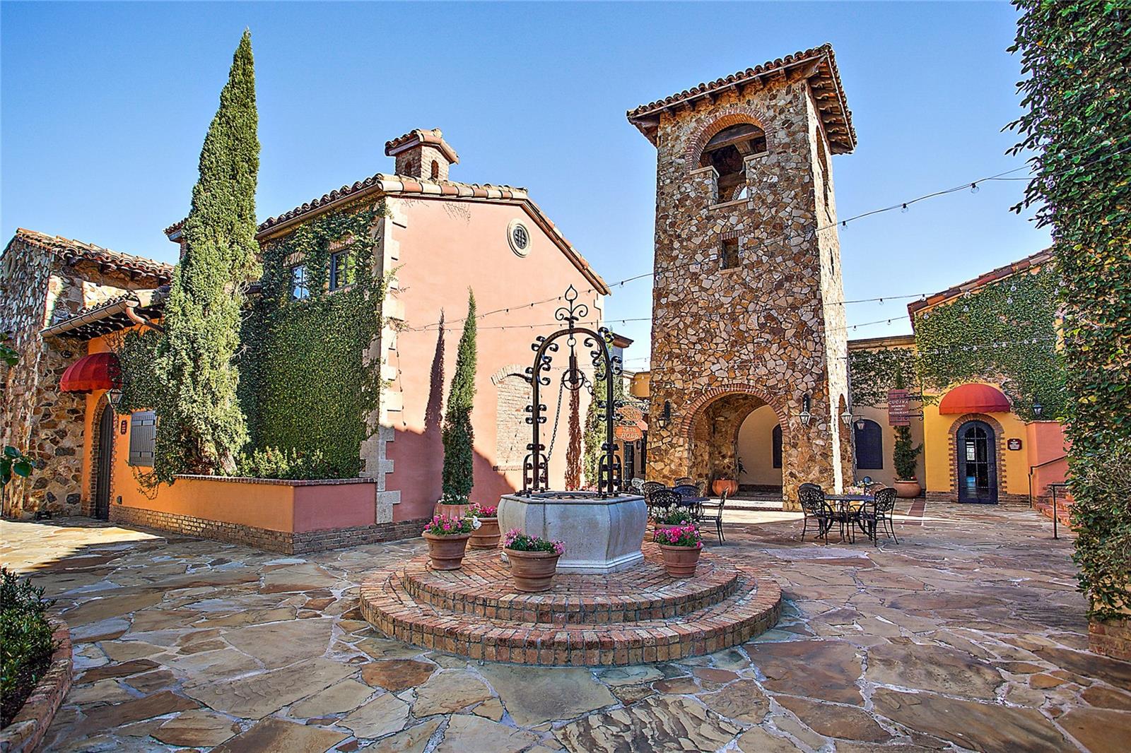16049 Volterra Pt Property Photo 46