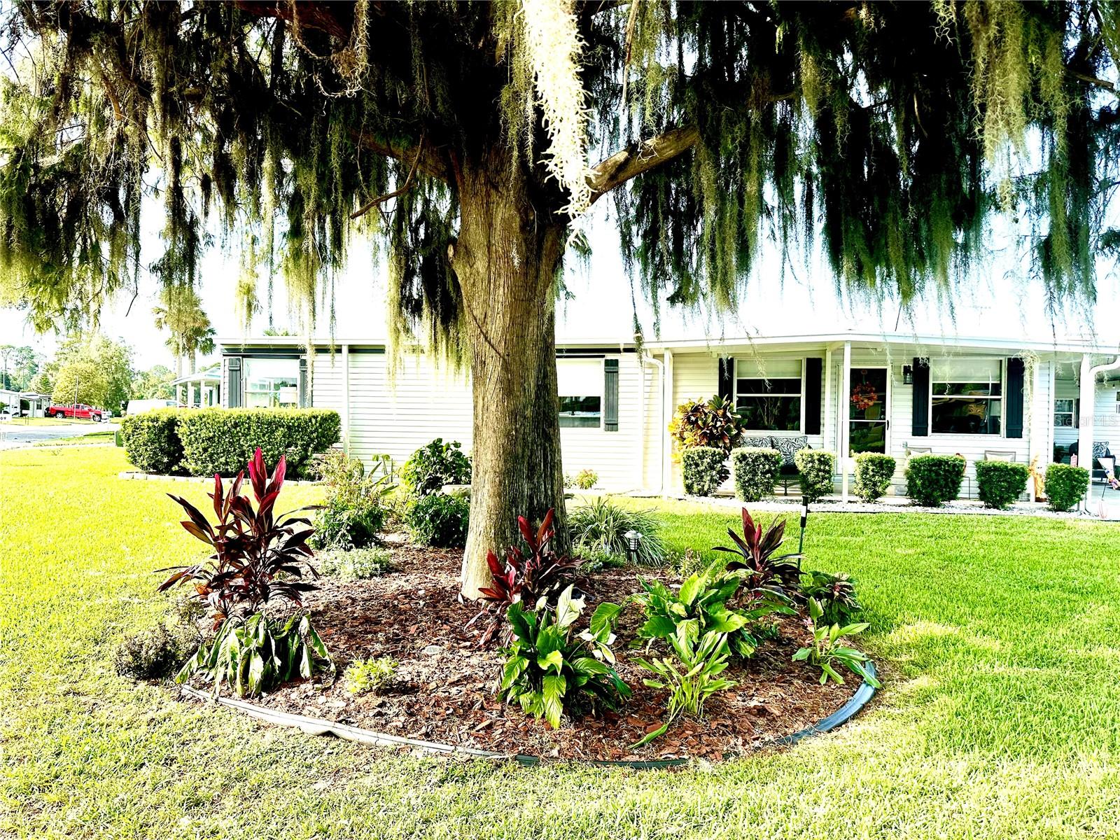 2409 Vindale Rd Property Photo 2
