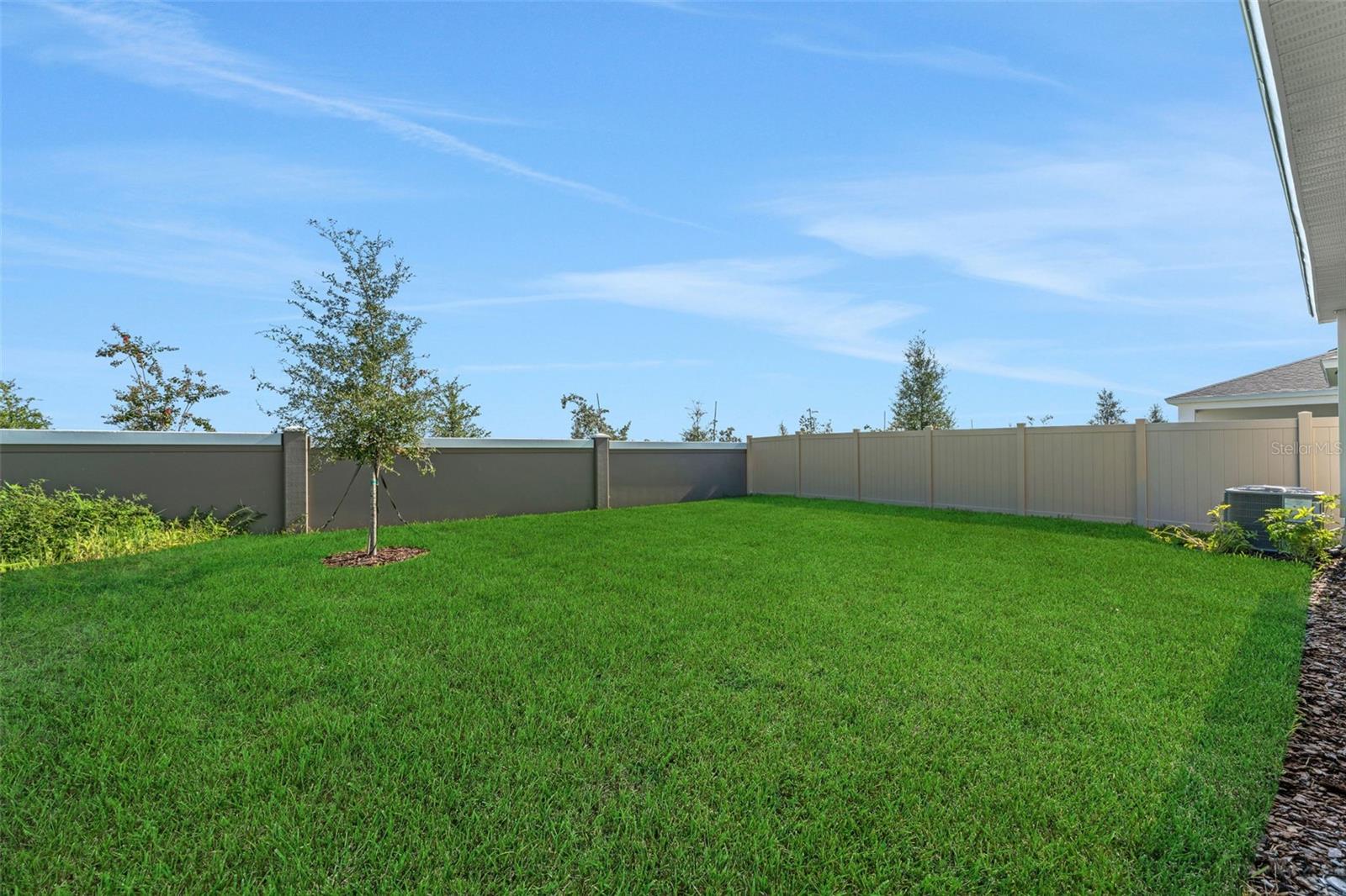 8132 Sunny Point Trl Property Photo 11