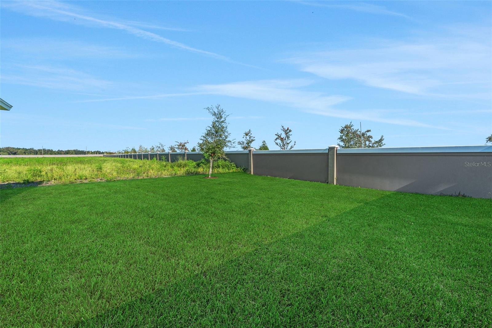 8132 Sunny Point Trl Property Photo 15
