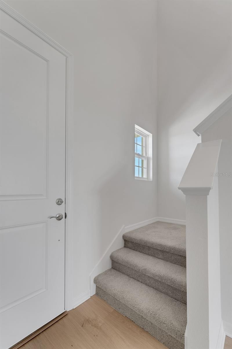8132 Sunny Point Trl Property Photo 42