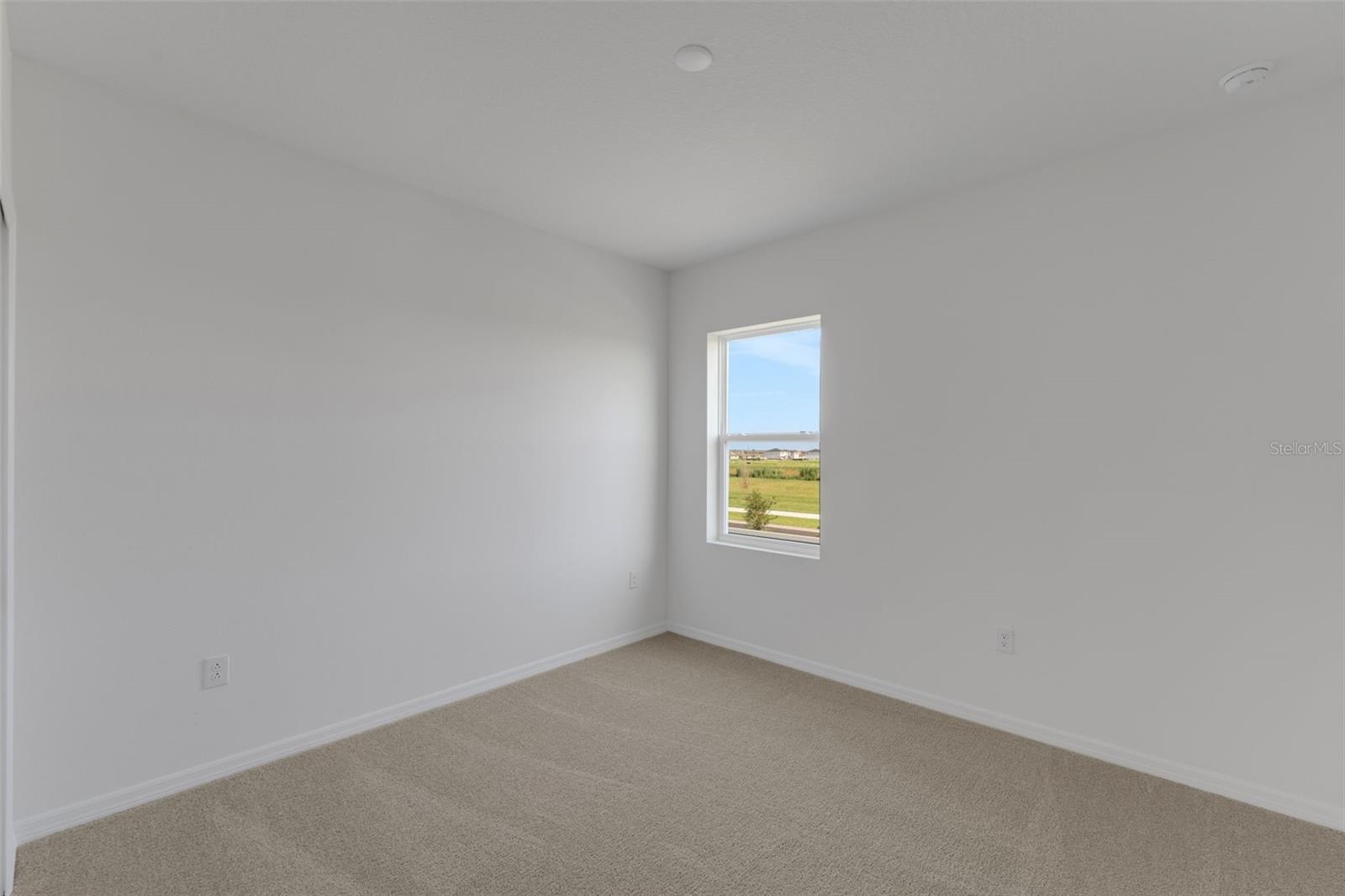 8132 Sunny Point Trl Property Photo 45