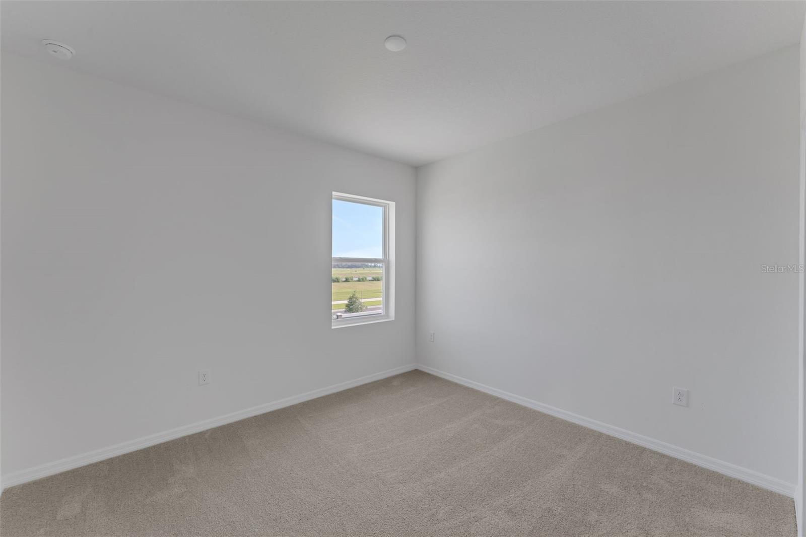 8132 Sunny Point Trl Property Photo 50