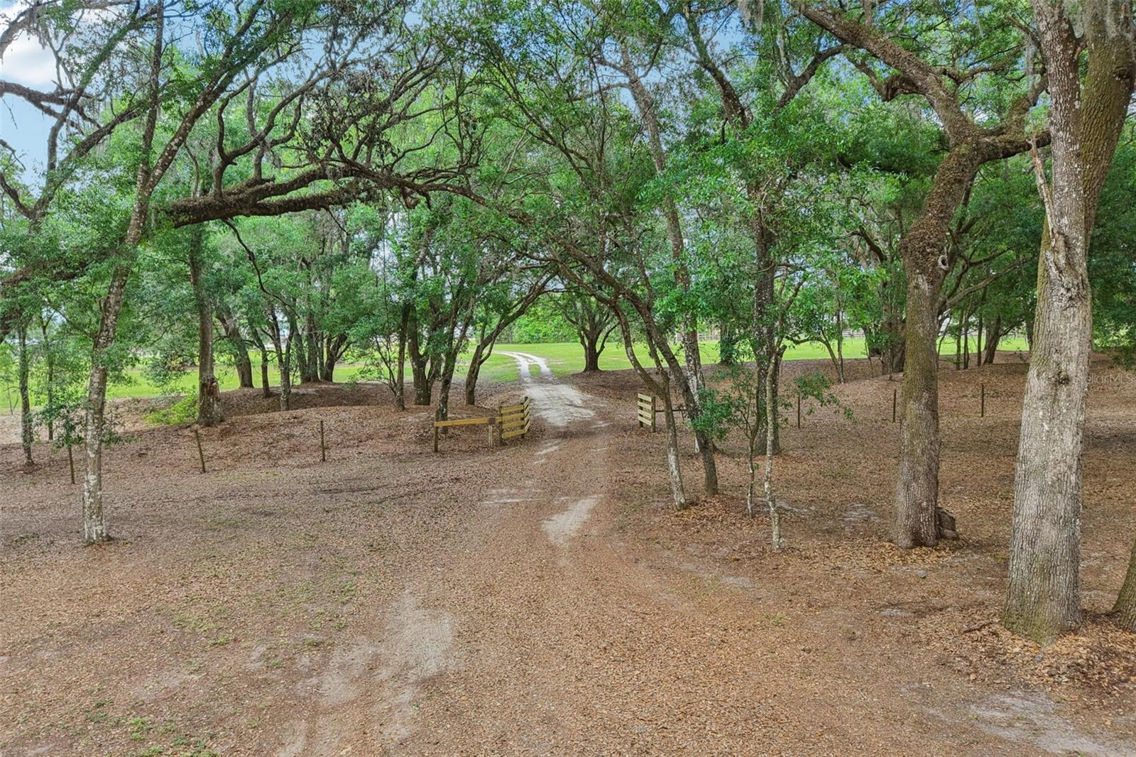 2685 Cr 564 Property Photo 54