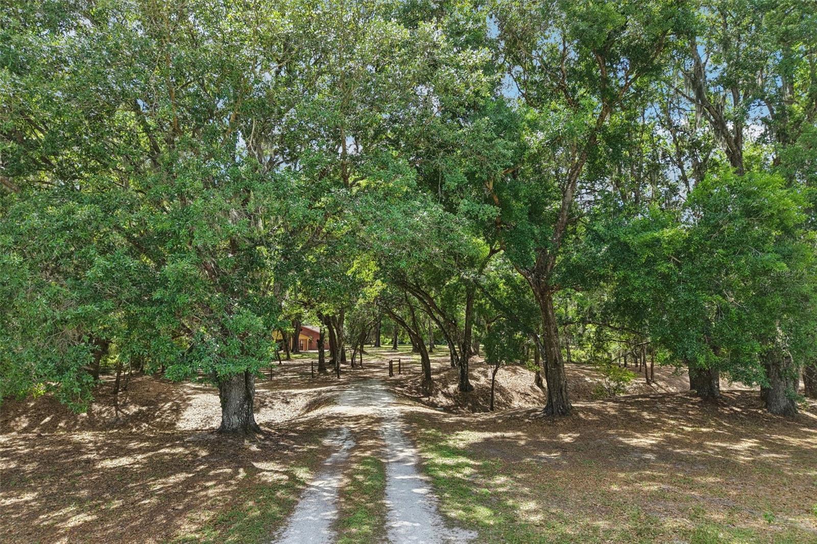 2685 Cr 564 Property Photo 69