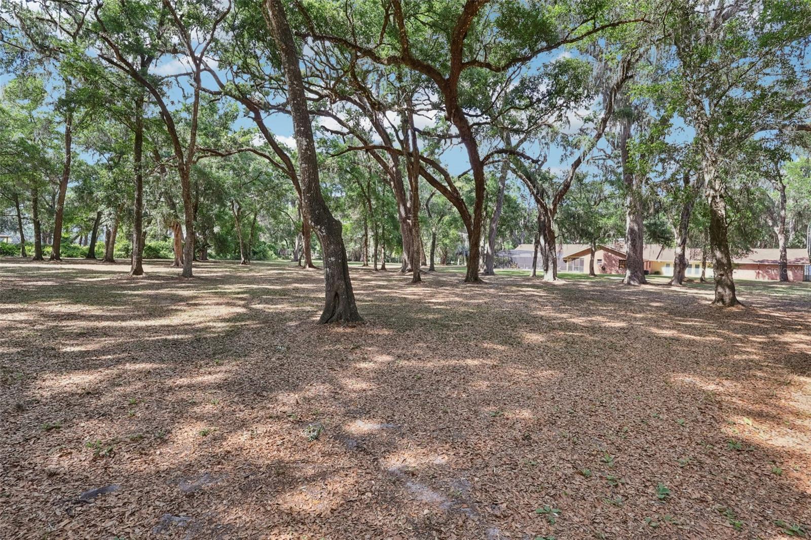2685 Cr 564 Property Photo 74