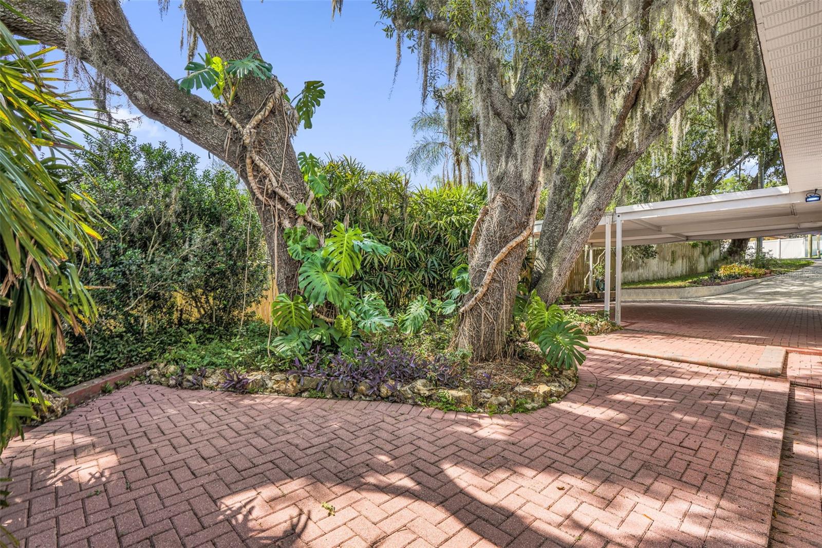 10945 Big Tree Ln Property Photo 27