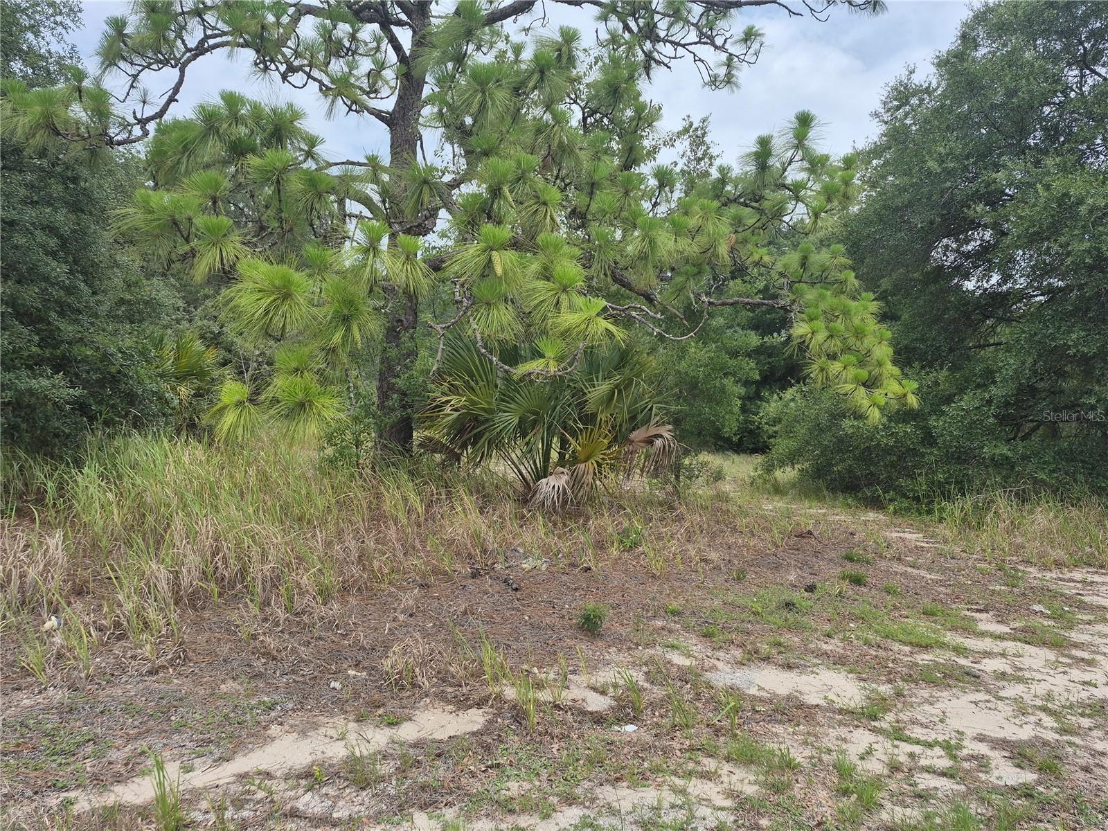 1626 S Us 301 Property Photo 1