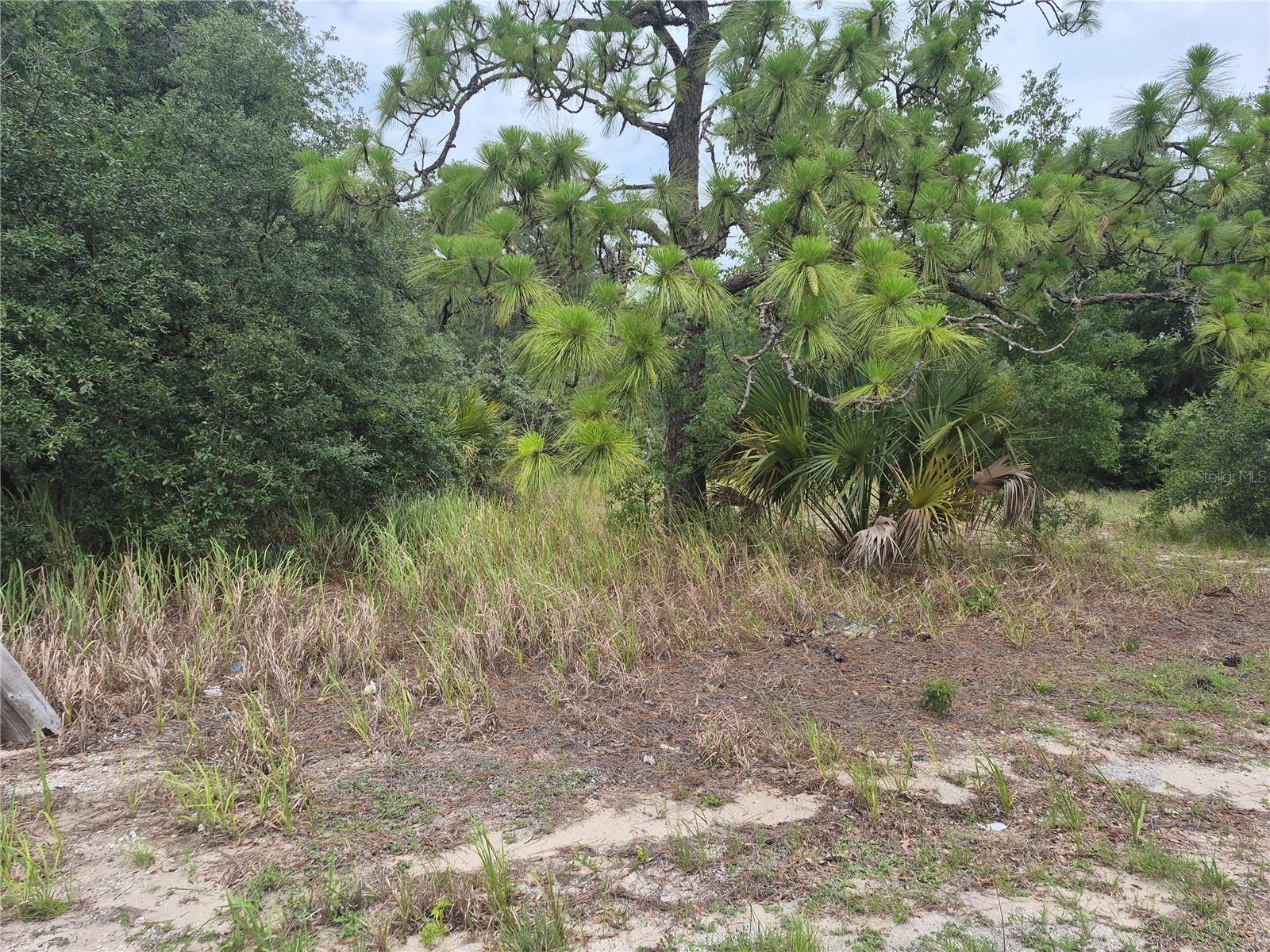 1626 S Us 301 Property Photo 2