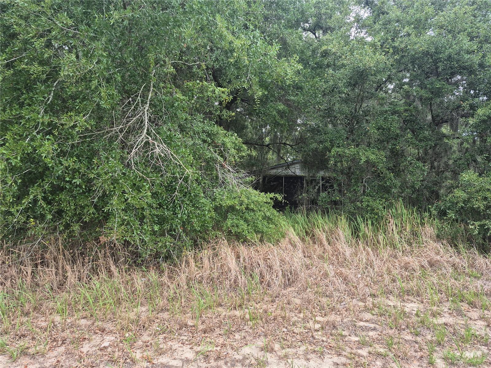 1626 S Us 301 Property Photo 3