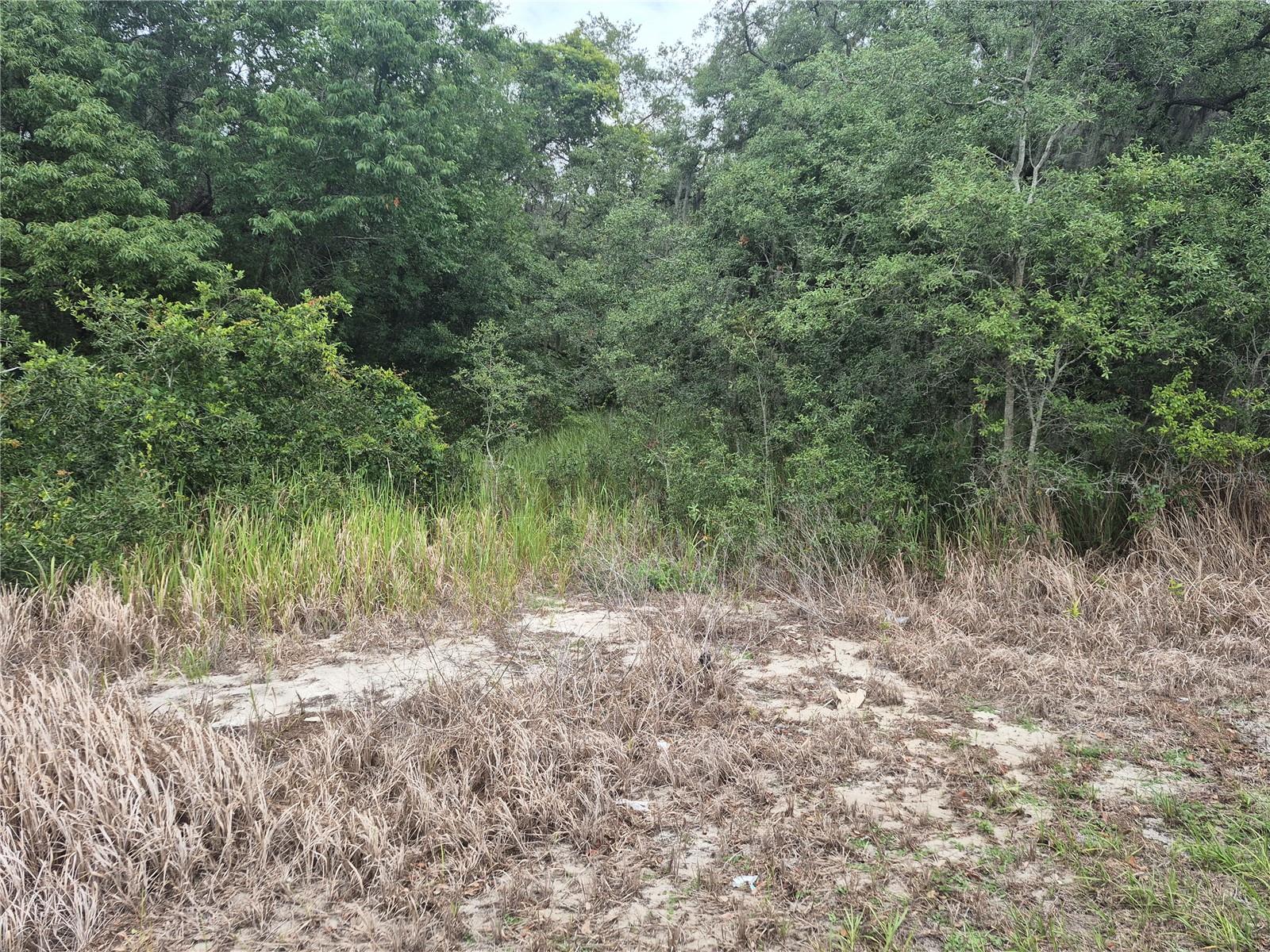 1626 S Us 301 Property Photo 4