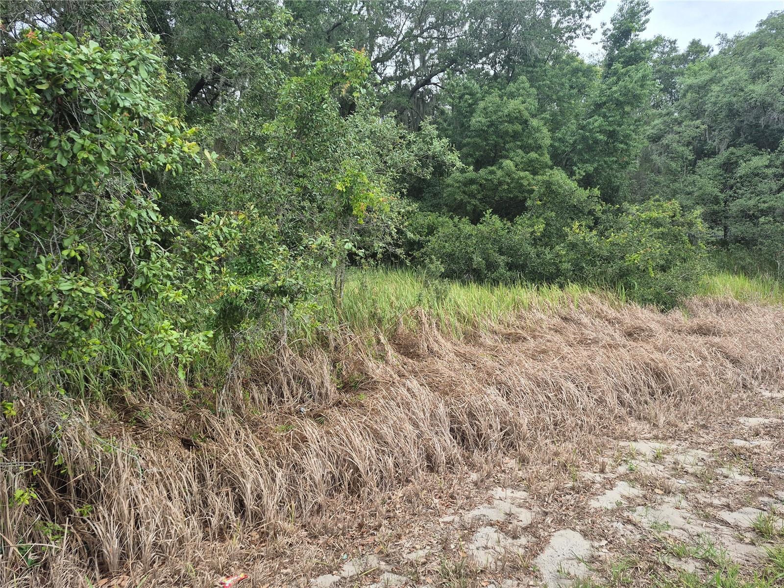 1626 S Us 301 Property Photo 6