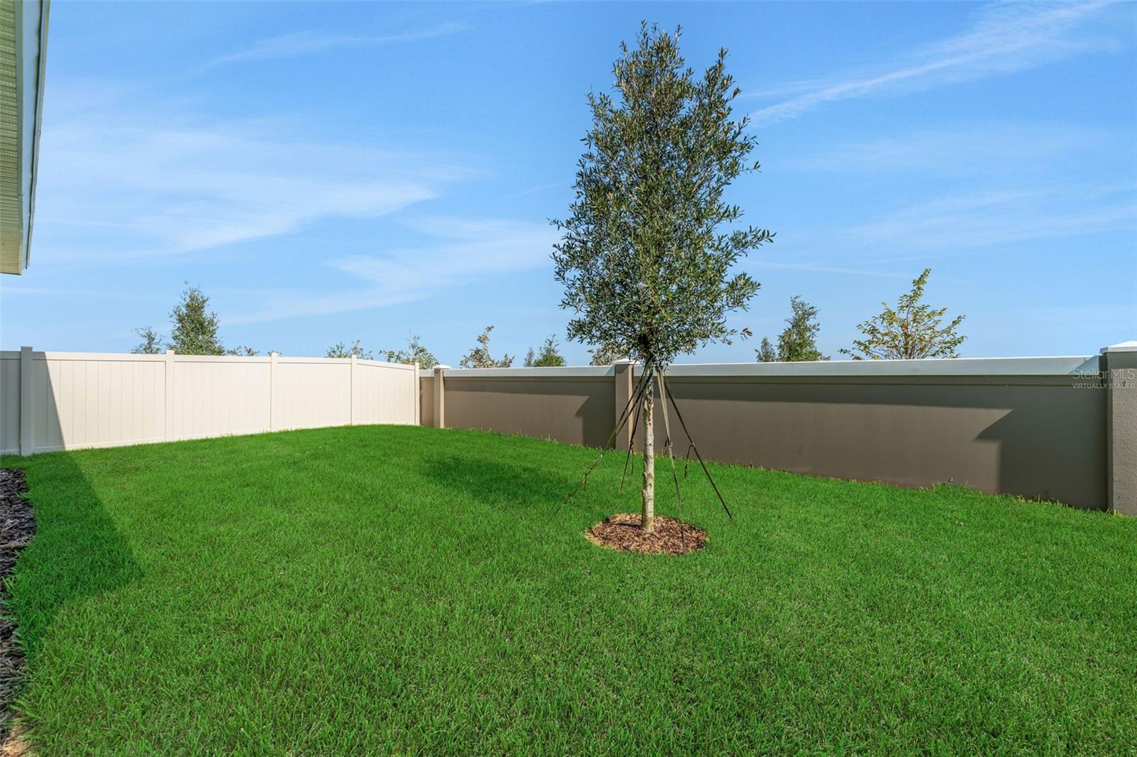 8124 Sunny Point Trl Property Photo 4