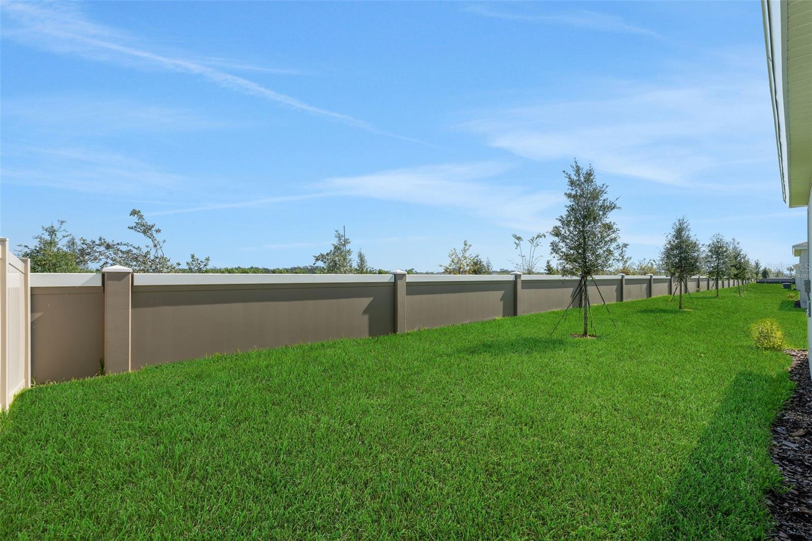 8124 Sunny Point Trl Property Photo 8