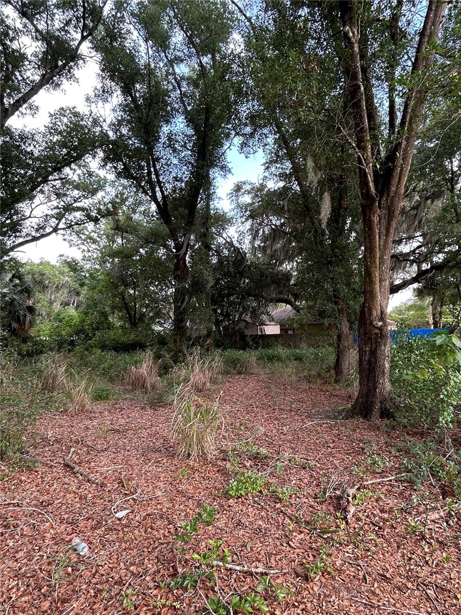 Palmetto St Property Photo 3