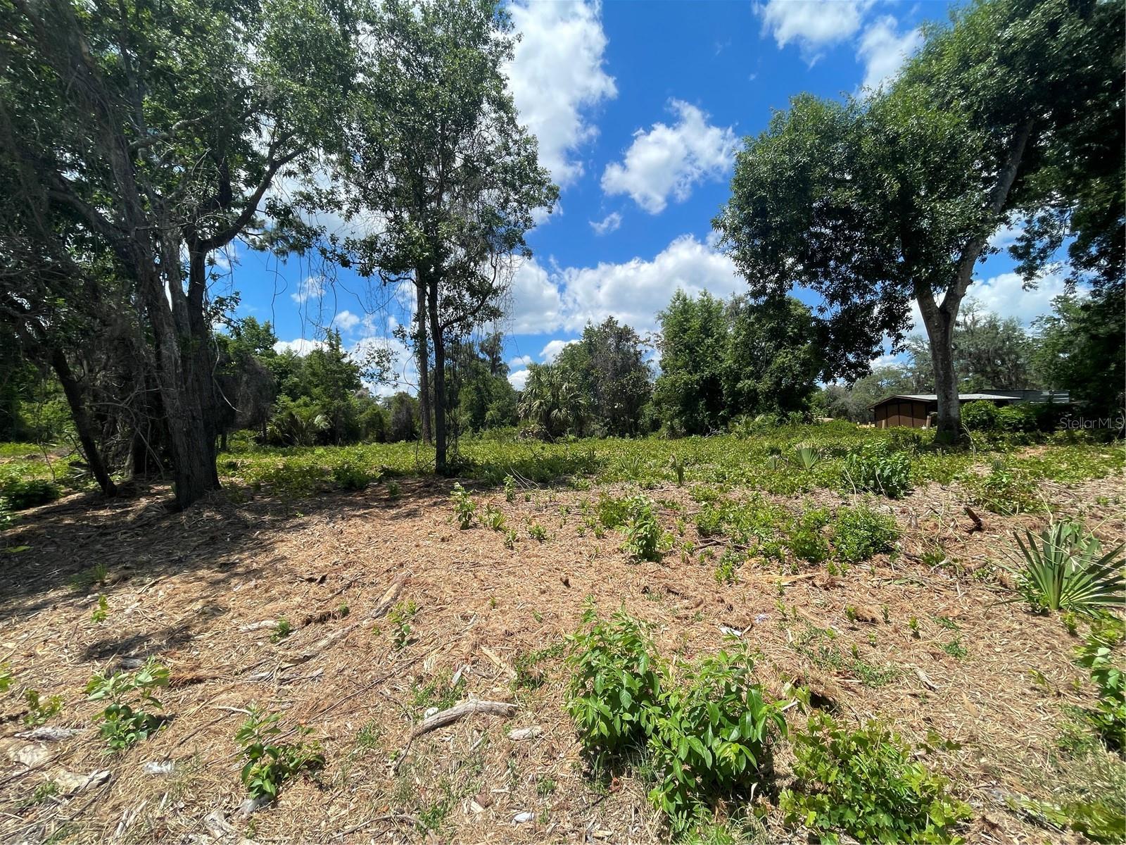 COUNTY ROAD 42