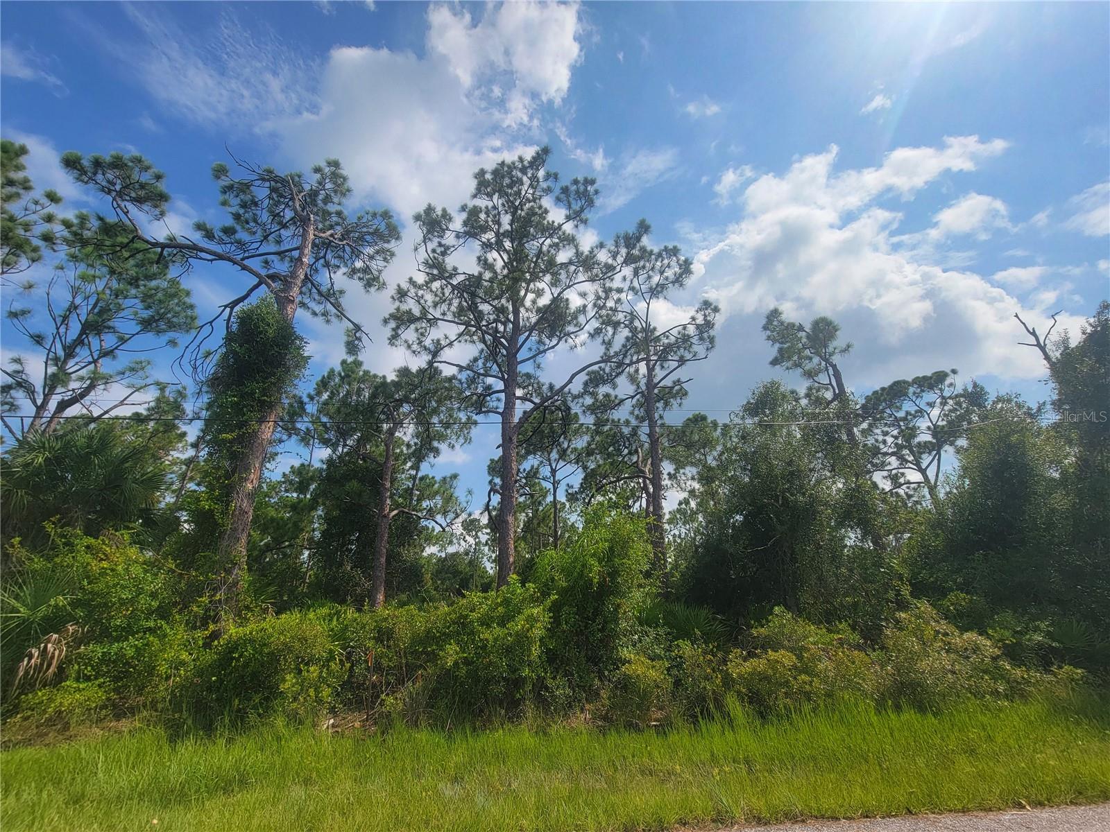 1508 BISCAYNE DR Property Photo 1