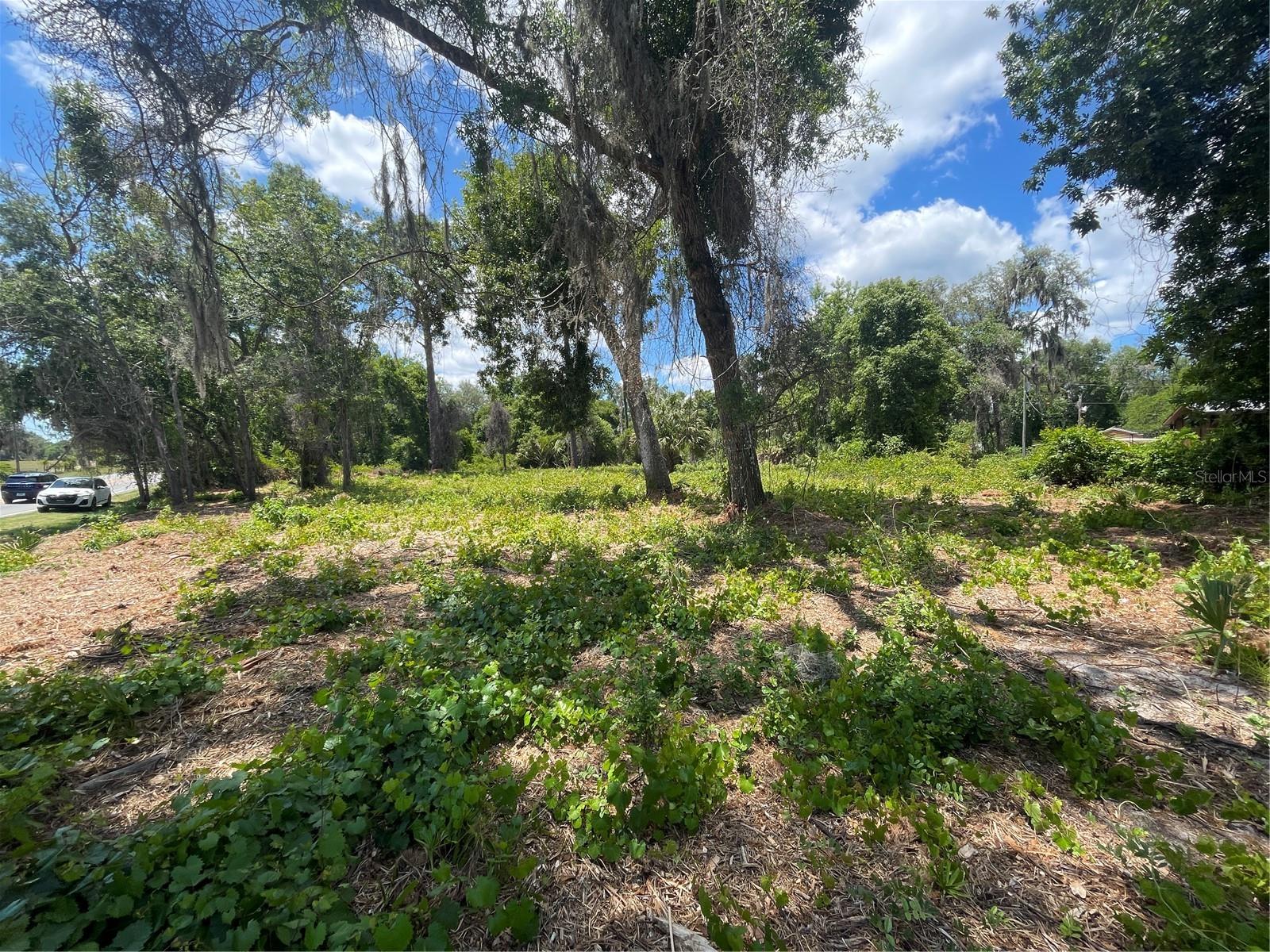 County Road 42 Property Photo 1