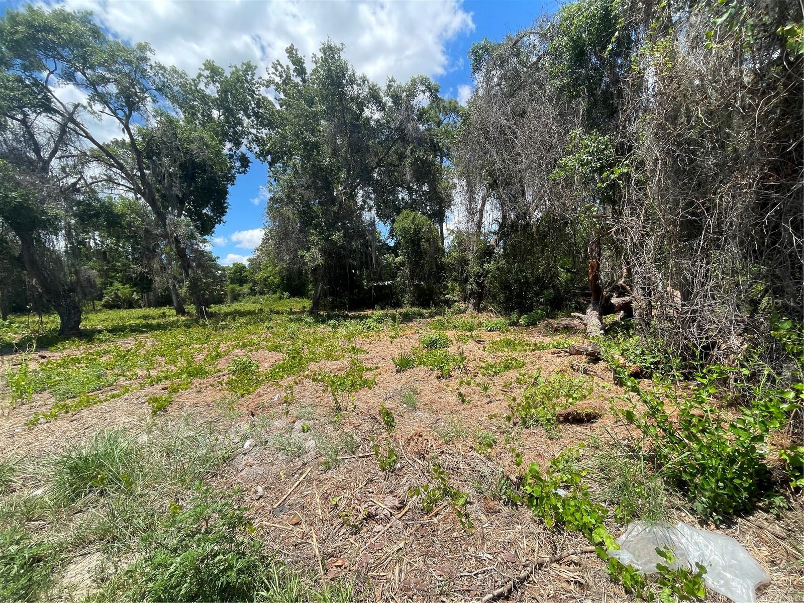 County Road 42 Property Photo 2