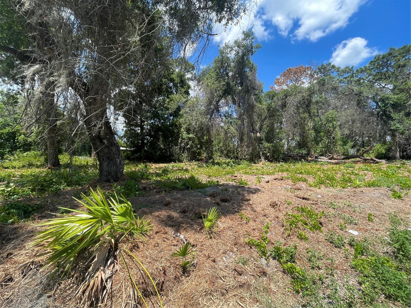 County Road 42 Property Photo 3