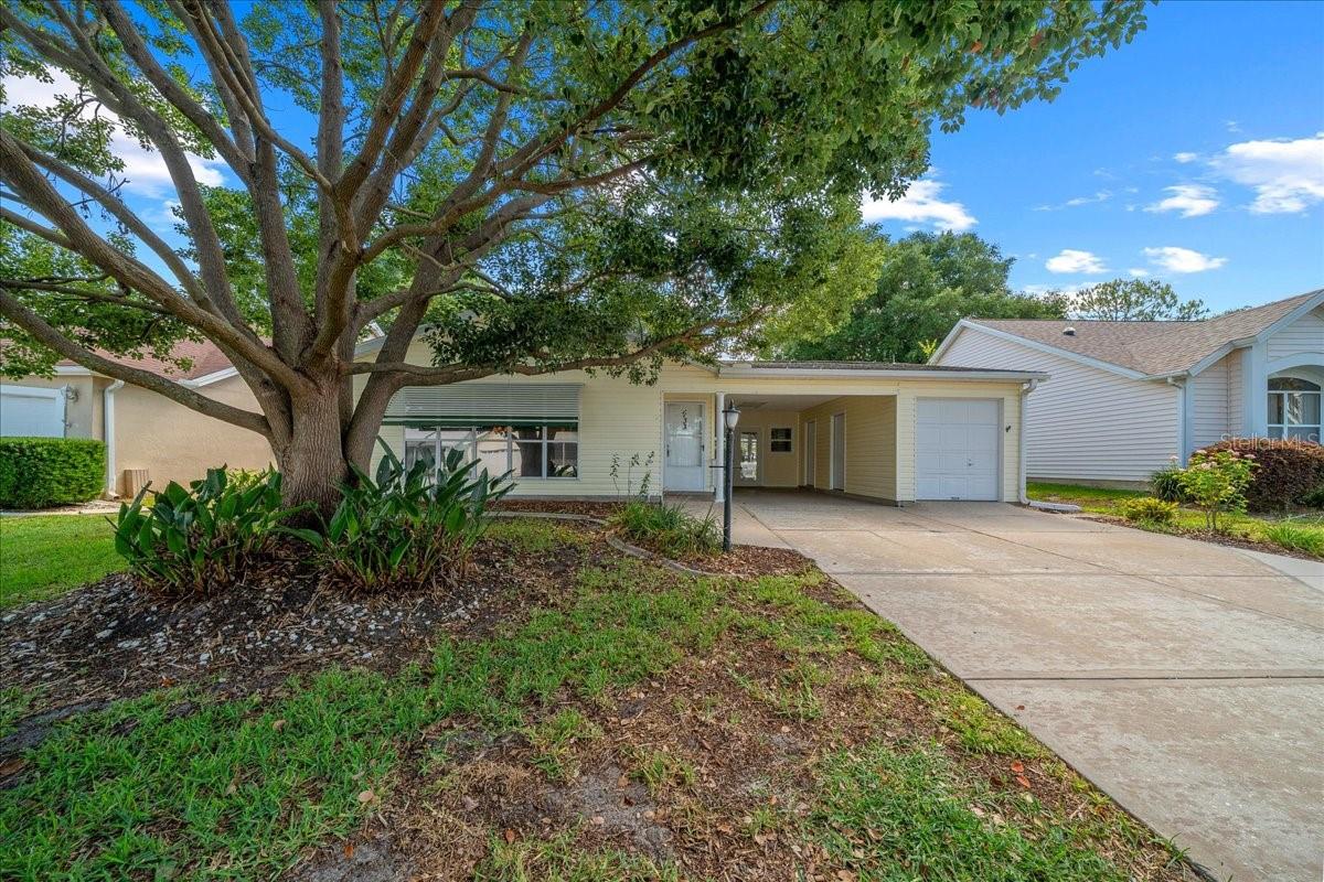1133 Del Toro Dr Property Photo 1