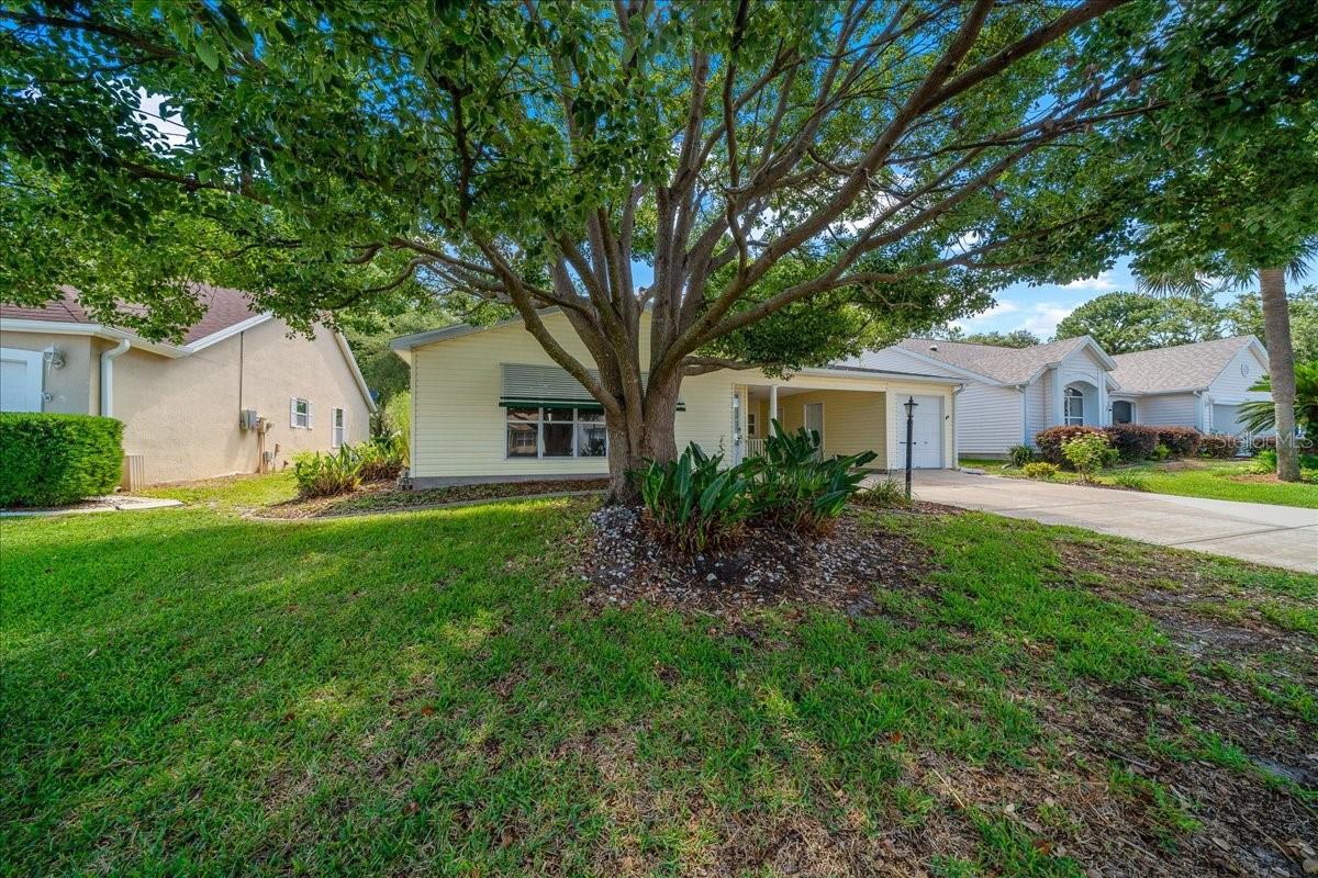 1133 Del Toro Dr Property Photo 54
