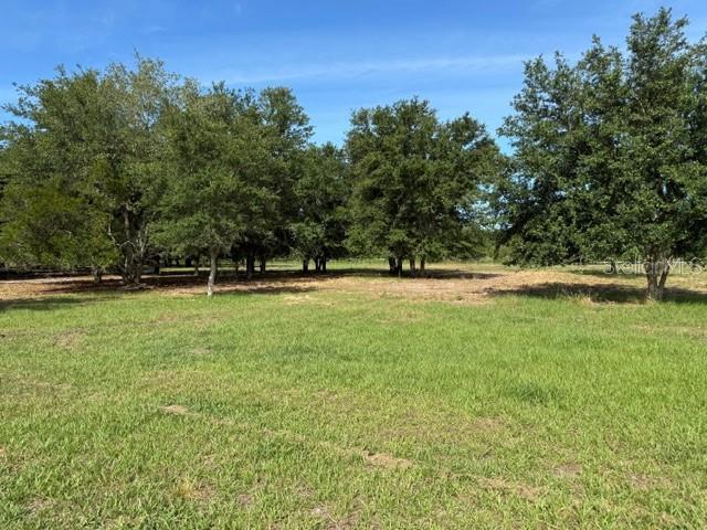 7214 Oil Well Rd Property Photo 5