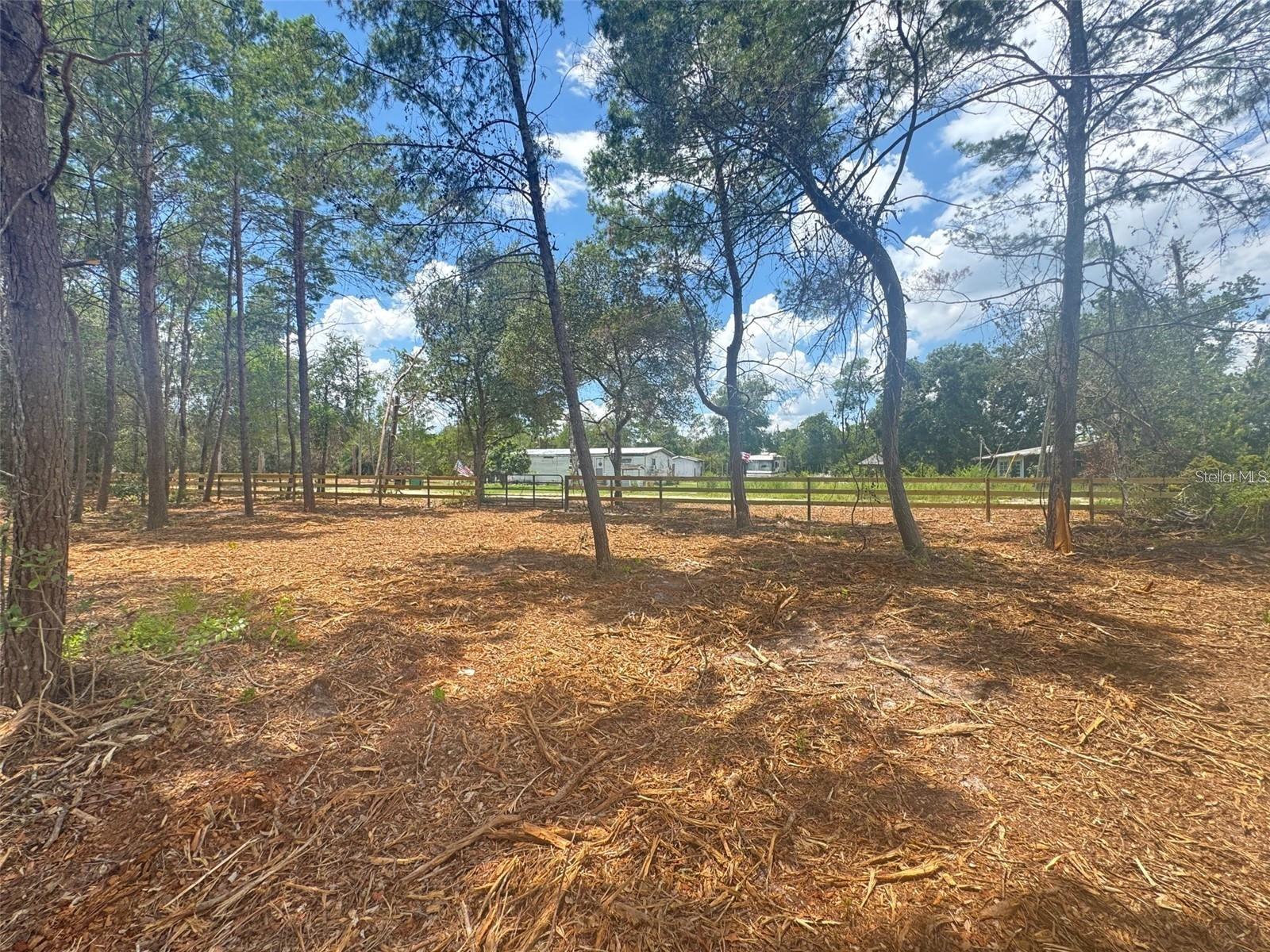E Pine St Property Photo 1