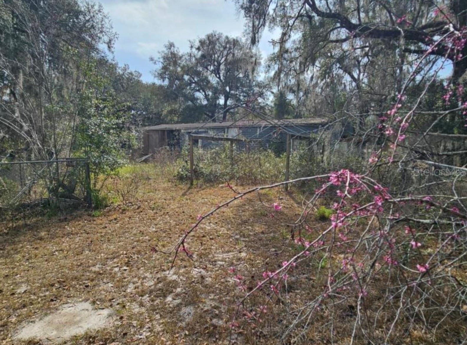 4210 Ne 175th Street Rd Property Photo 5