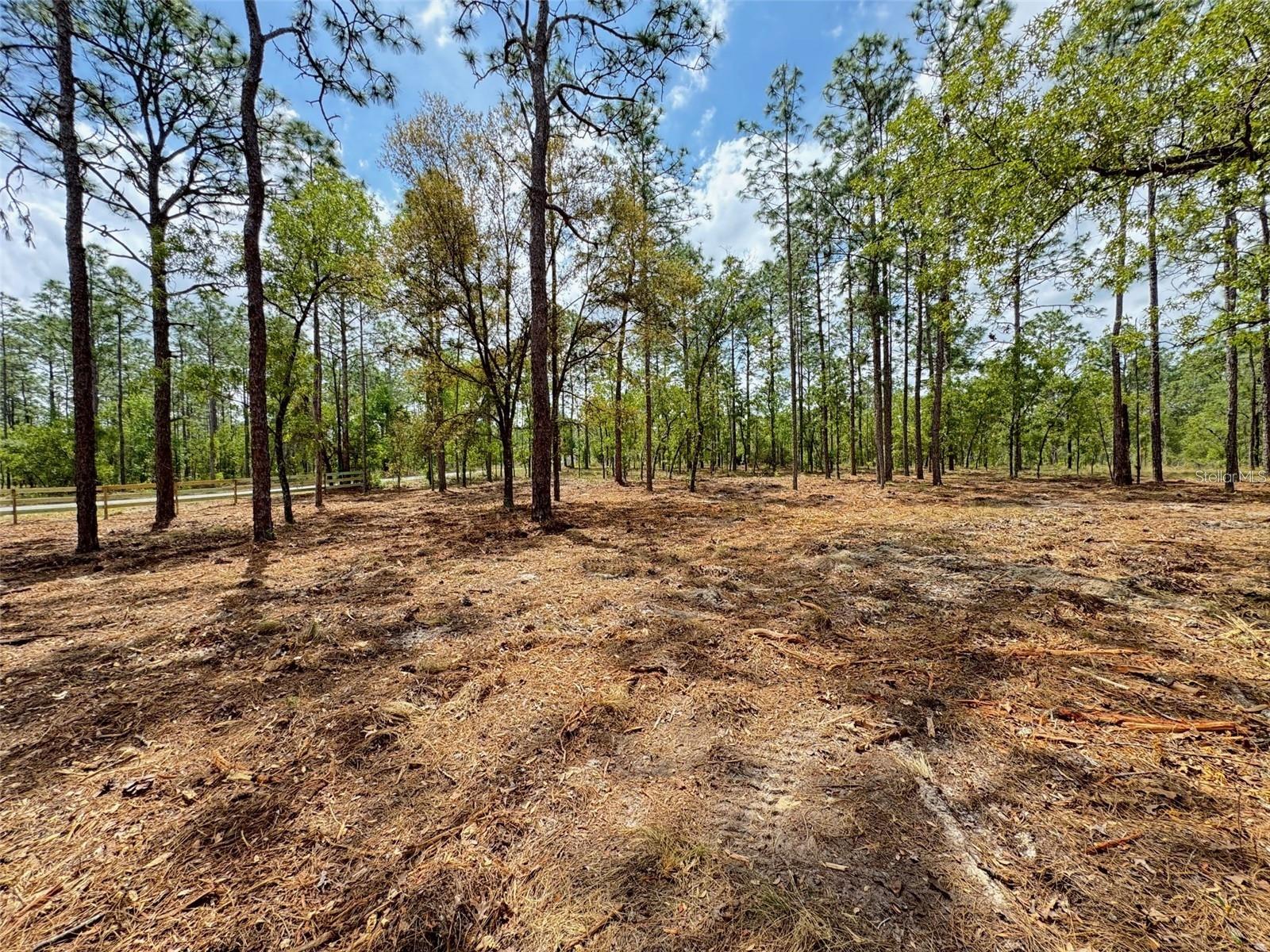 Sw Deerpark Heights Rd Property Photo 5