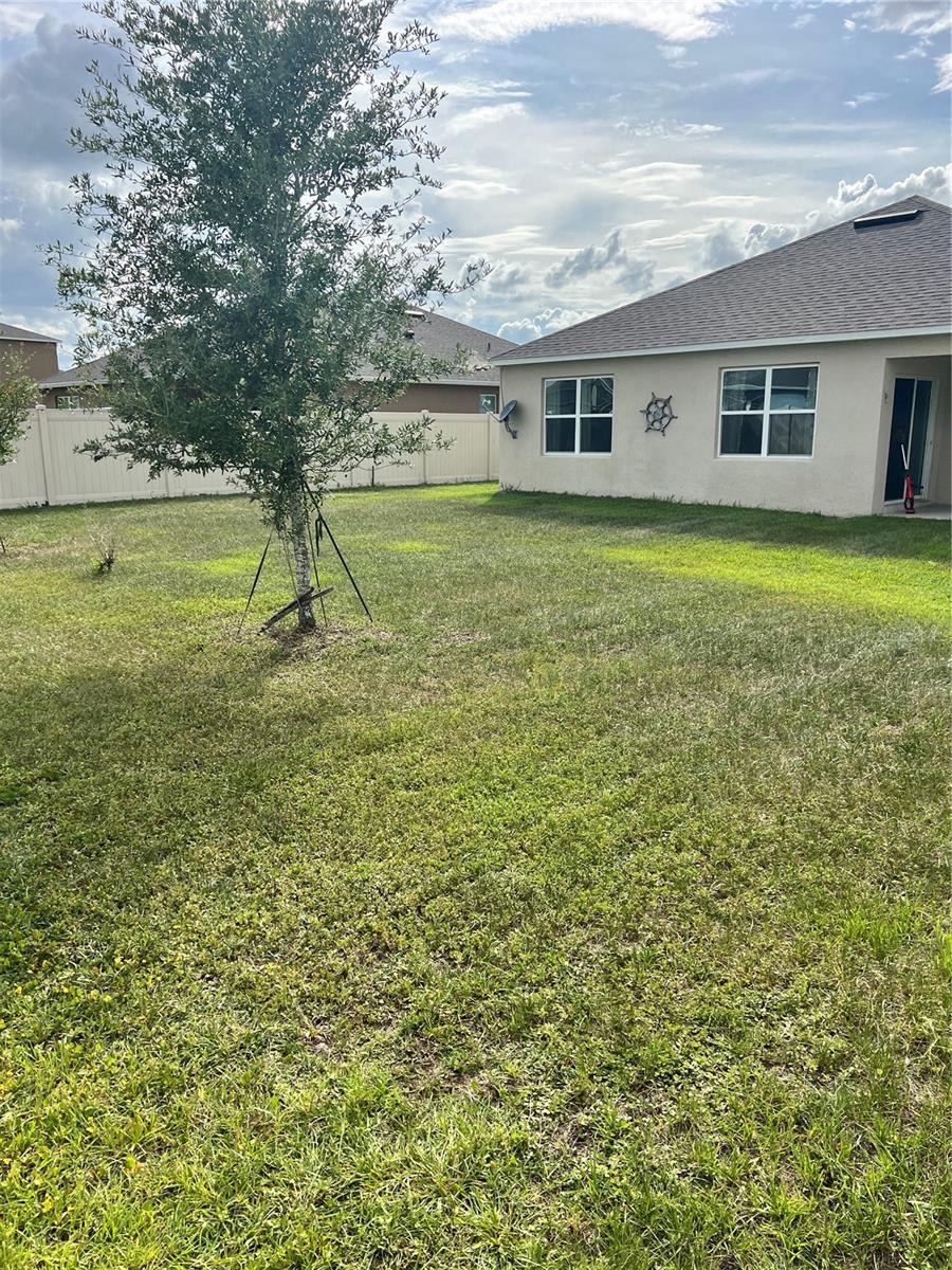 5240 Greenheart Ave Property Photo 20