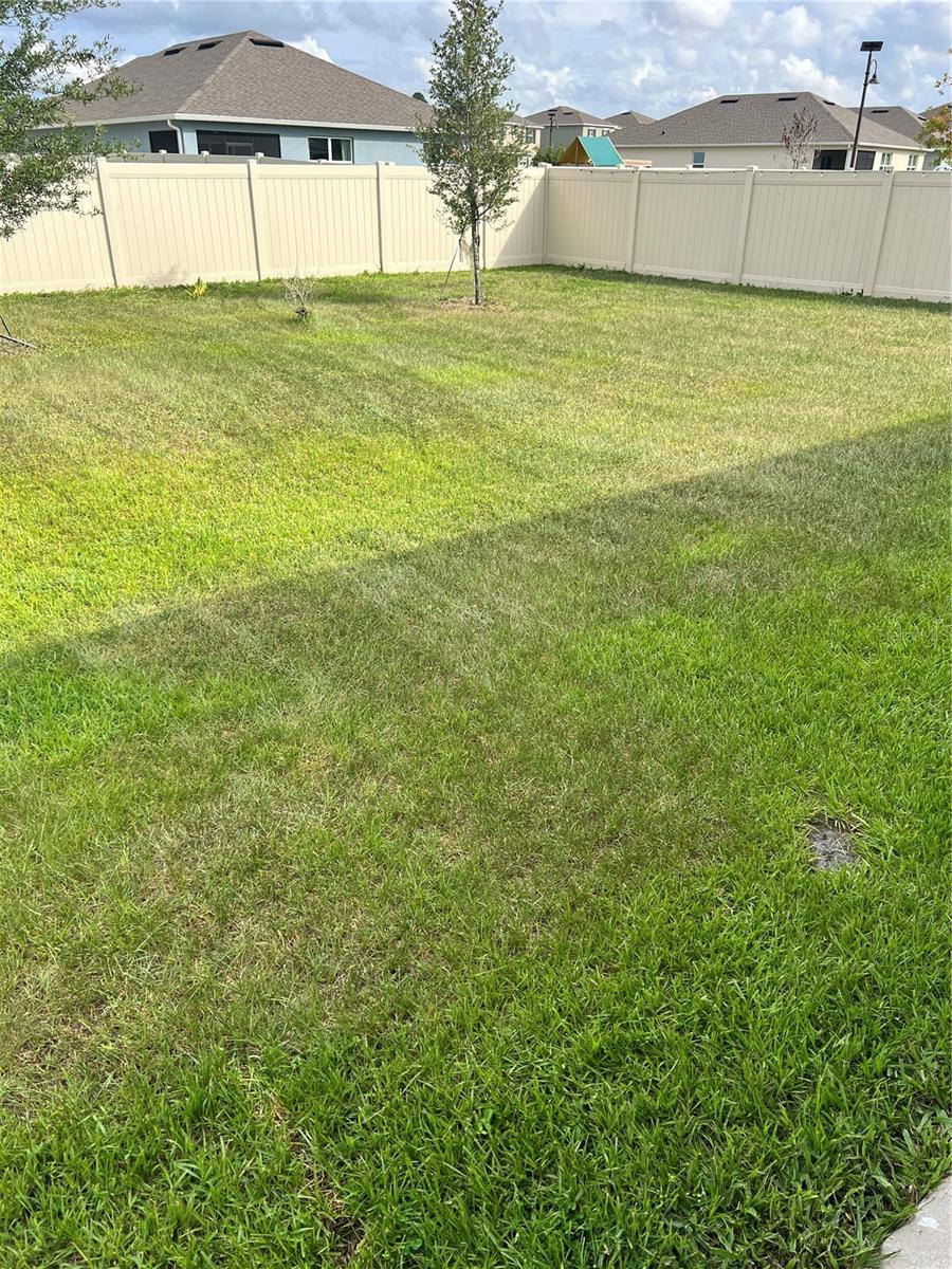 5240 Greenheart Ave Property Photo 23