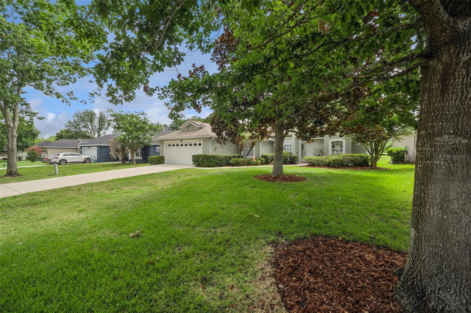 2243 Wolf Ridge Ln Property Photo 48