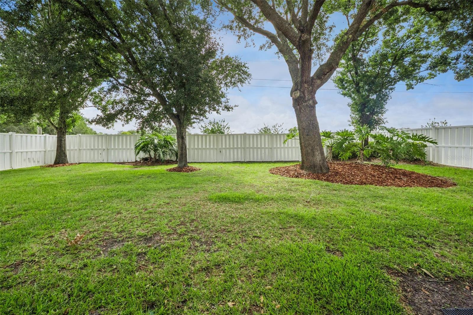 2243 Wolf Ridge Ln Property Photo 49