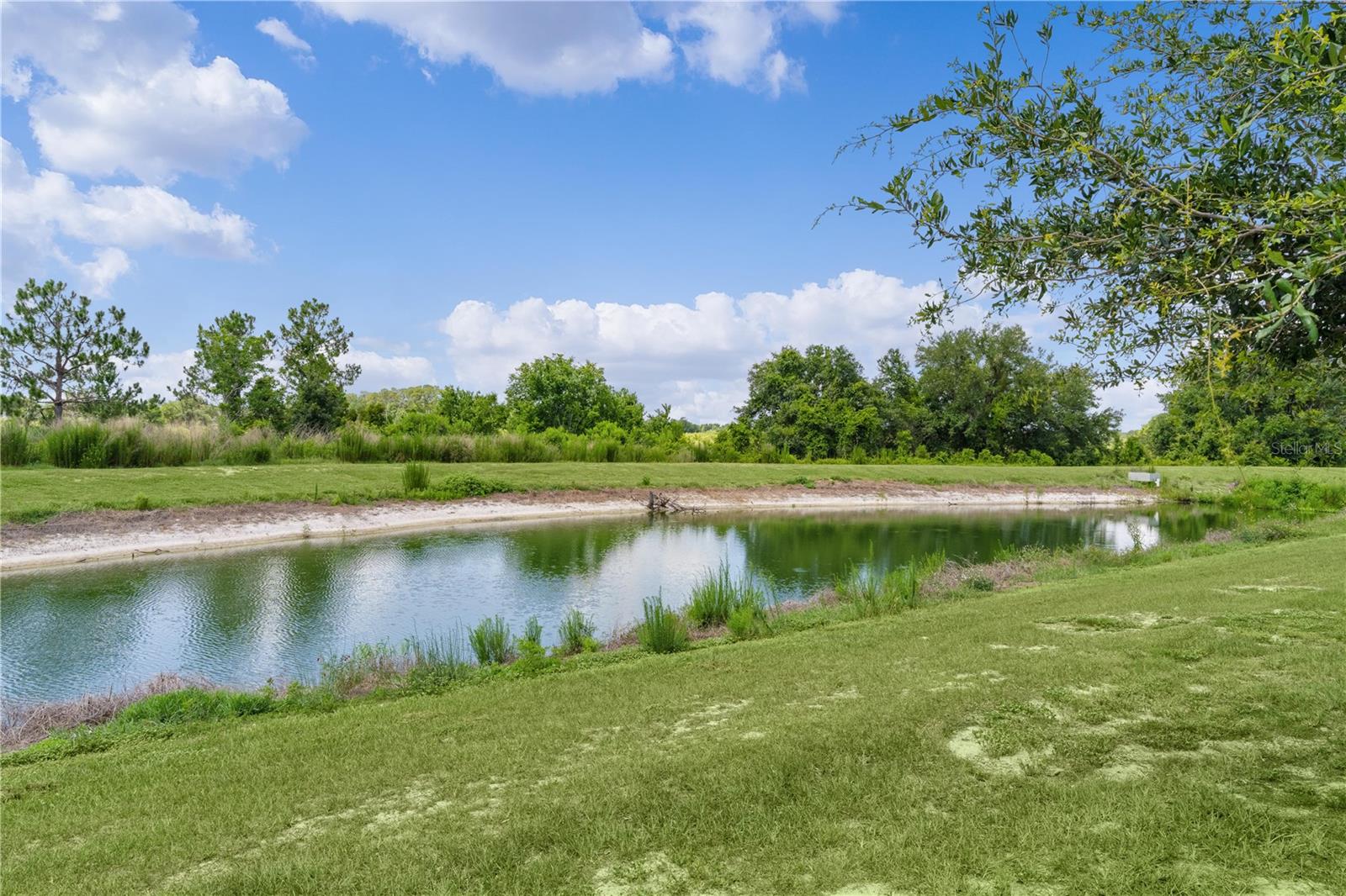 15344 White Tail Loop Property Photo 41