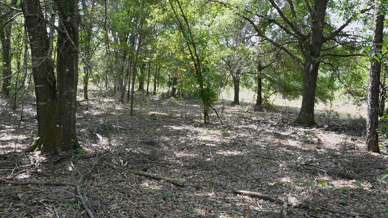 G5113825 Property Photo 8