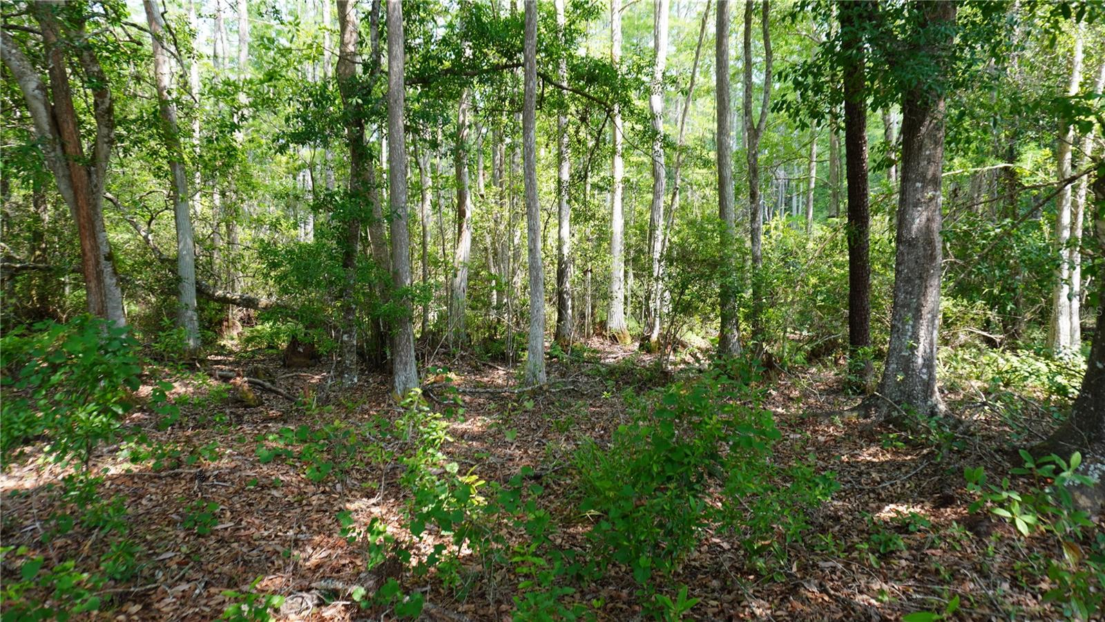G5113825 Property Photo 9