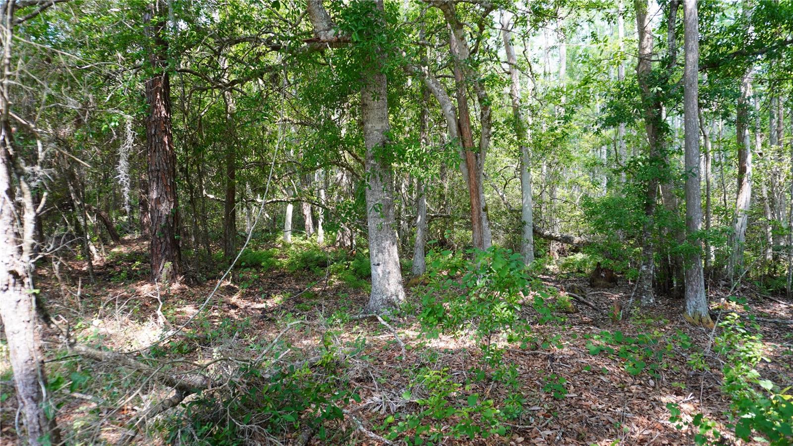 G5113825 Property Photo 10