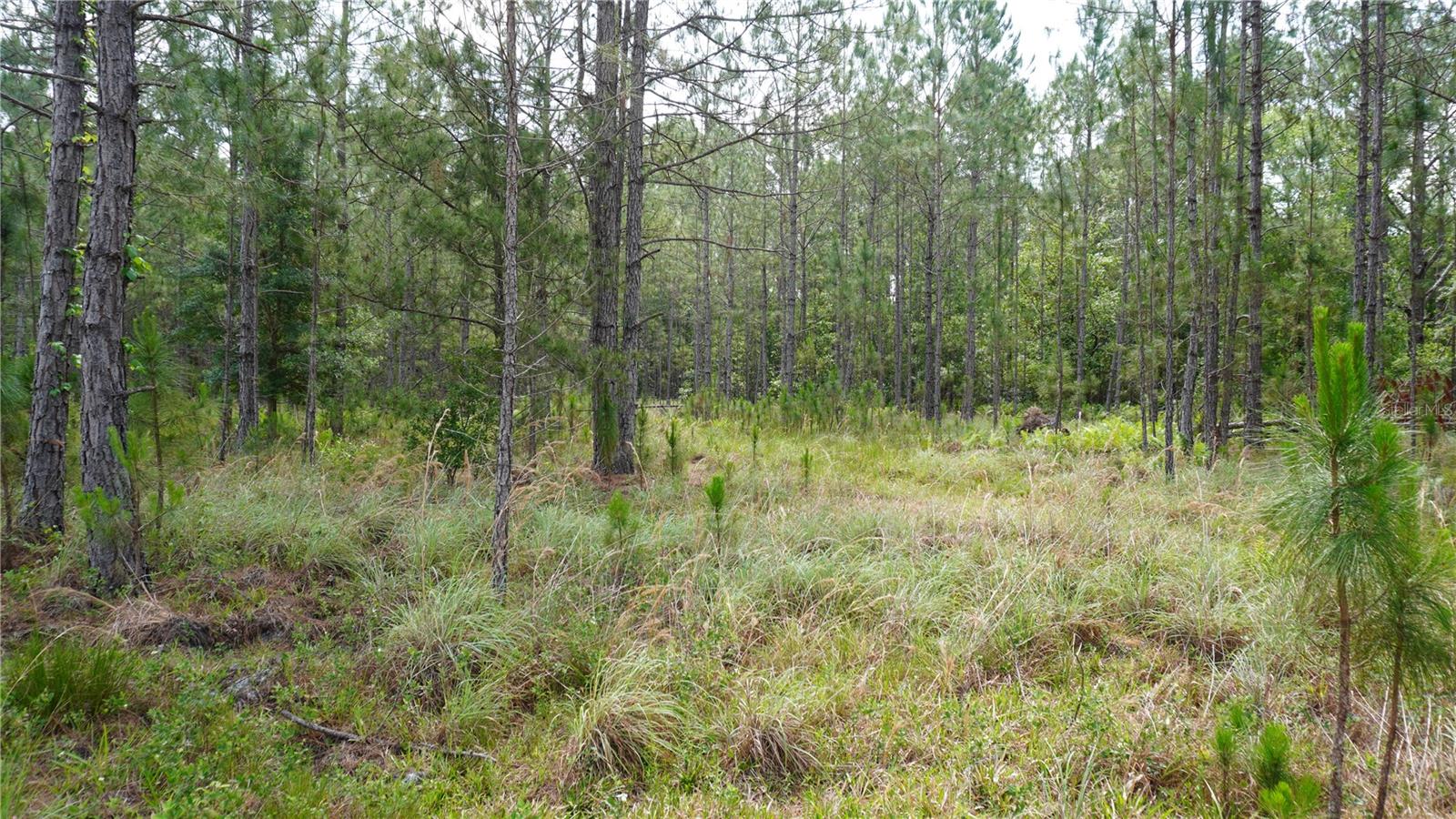 G5113825 Property Photo 11