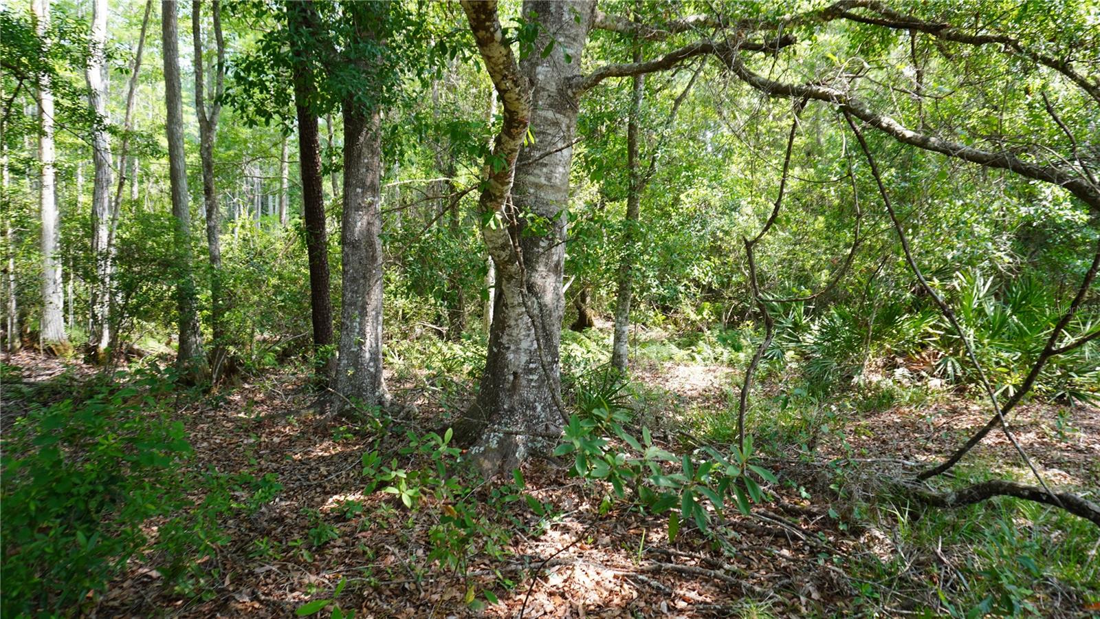 G5113825 Property Photo 14