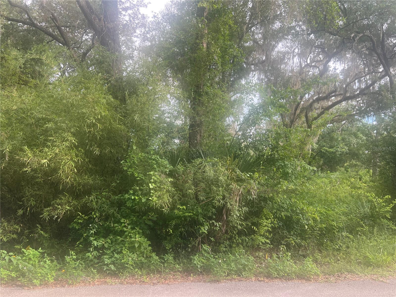Ne 32nd St Property Photo