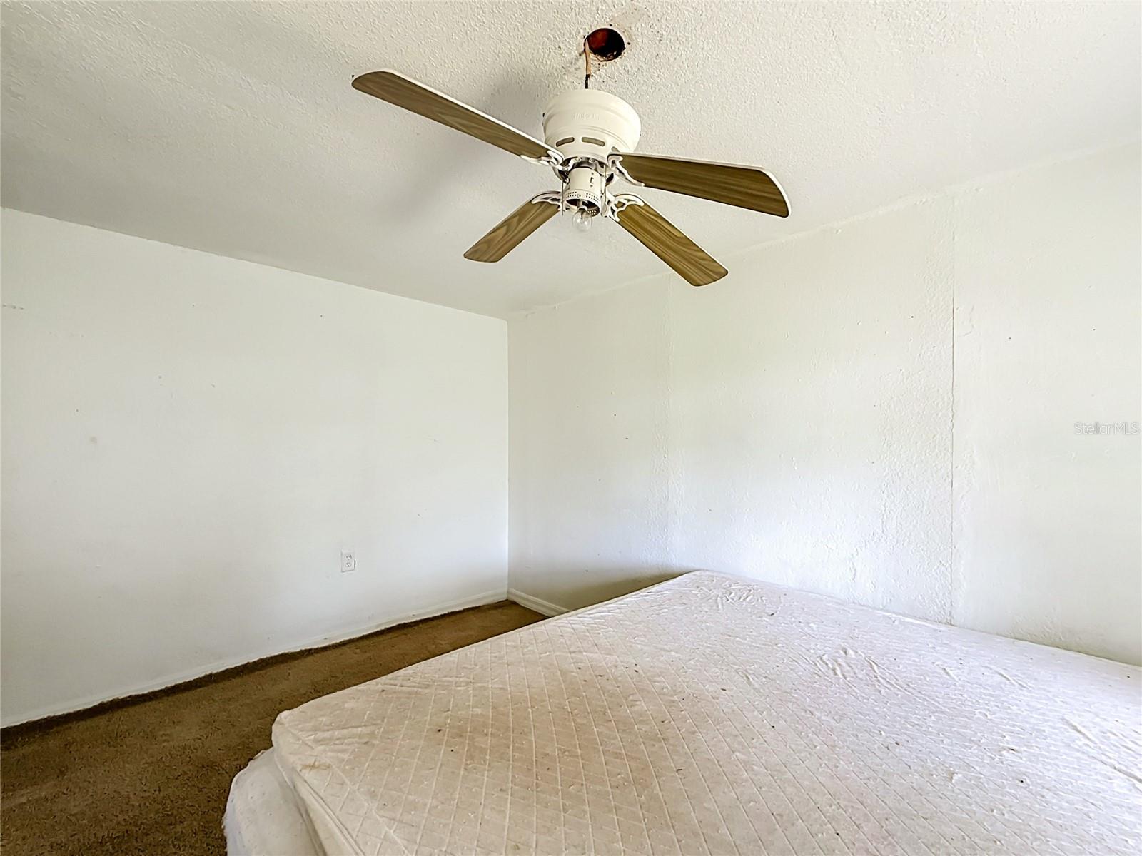 31032 Rory Ln Property Photo 22