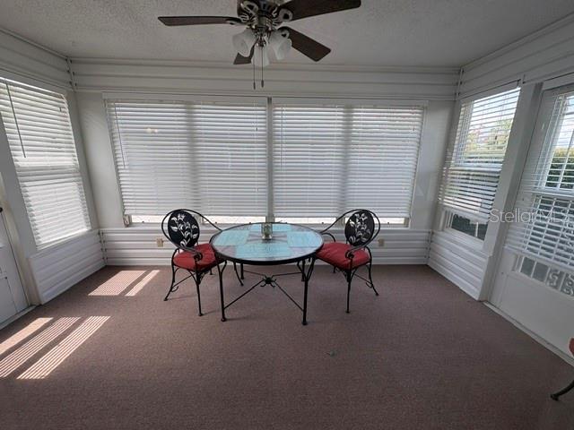 932 Chula Ct Property Photo 17