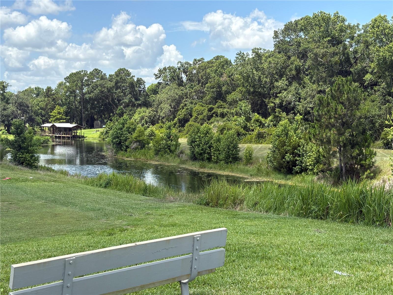 137 Jacaranda Dr Property Photo 46